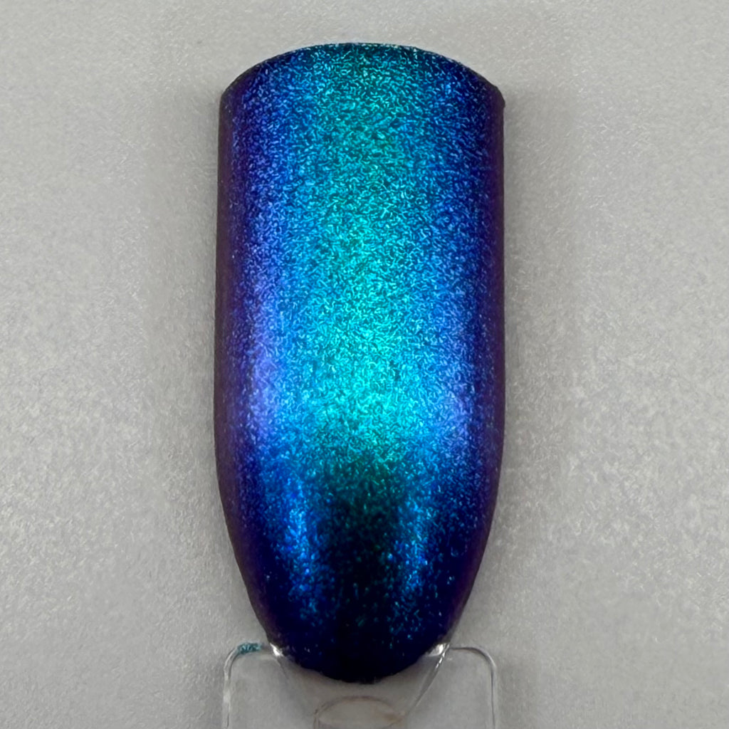 Blue Birds Fly 193