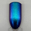 Blue Birds Fly 193